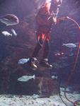 IMG_6109 IMG_6109