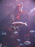 IMG_6110 IMG_6110