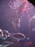 IMG_6111 IMG_6111