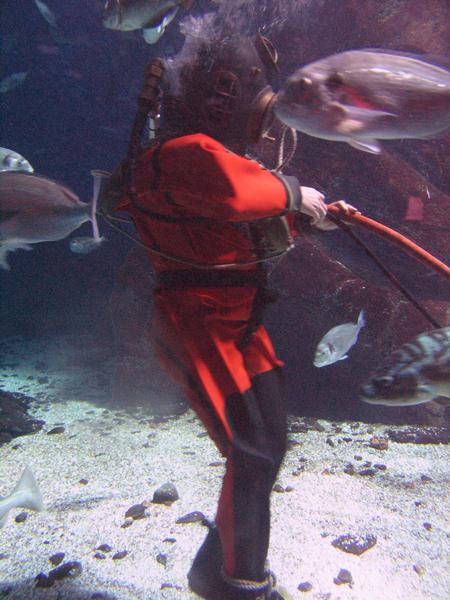 IMG_6112