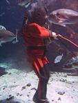 IMG_6112 IMG_6112