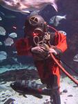 IMG_6113 IMG_6113