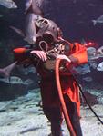 IMG_6115 IMG_6115
