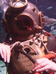 IMG_6117 IMG_6117