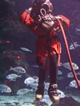 IMG_6119 IMG_6119