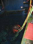 IMG_6122 IMG_6122