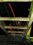 IMG_6148 IMG_6148