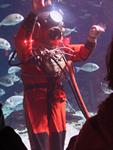 IMG_6150 IMG_6150