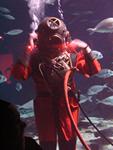 IMG_6151 IMG_6151