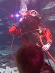 IMG_6155 IMG_6155