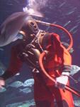 IMG_6158 IMG_6158