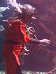 IMG_6160 IMG_6160