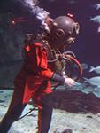 IMG_6161 IMG_6161