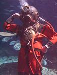 IMG_6162 IMG_6162