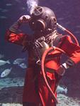 IMG_6163 IMG_6163