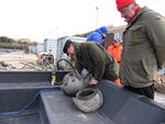 IMG_6352 IMG_6352