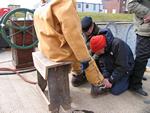 IMG_6370 IMG_6370