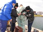 IMG_6380 IMG_6380