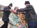 IMG_6384 IMG_6384