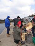IMG_6393 IMG_6393