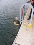 IMG_6401 IMG_6401