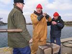 IMG_6443 IMG_6443