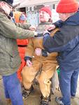 IMG_6447 IMG_6447