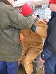 IMG_6448 IMG_6448