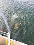 IMG_6470 IMG_6470