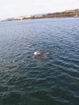 IMG_6474 IMG_6474