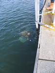 IMG_6511 IMG_6511