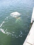 IMG_6512 IMG_6512