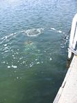 IMG_6513 IMG_6513