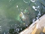 IMG_6519 IMG_6519