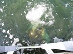 IMG_6520 IMG_6520
