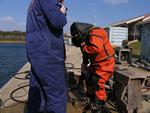IMG_6533 IMG_6533