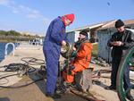 IMG_6536 IMG_6536