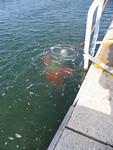 IMG_6556 IMG_6556