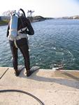IMG_6595 IMG_6595