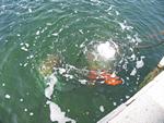 IMG_6606 IMG_6606