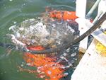 IMG_6608 IMG_6608