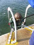 IMG_6613 IMG_6613