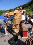 IMG_7672 IMG_7672