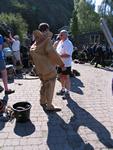 IMG_7679 IMG_7679