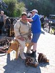 IMG_7682 IMG_7682