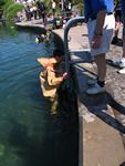 IMG_7685 IMG_7685