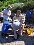 IMG_7694 IMG_7694