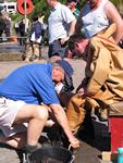 IMG_7697 IMG_7697