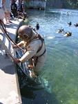 IMG_7724 IMG_7724