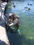 IMG_7725 IMG_7725